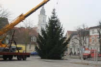Urz�d Miejski w Wolsztynie