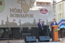 Urz�d Miejski w Wolsztynie