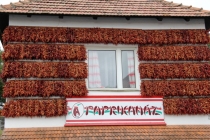 Urz�d Miejski w Wolsztynie