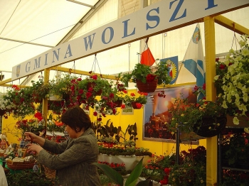 Urz�d Miejski w Wolsztynie