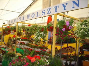 Urz�d Miejski w Wolsztynie