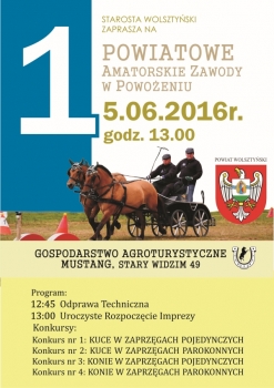 Urz�d Miejski w Wolsztynie