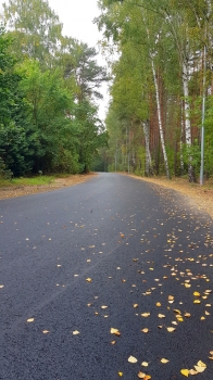 Urz�d Miejski w Wolsztynie
