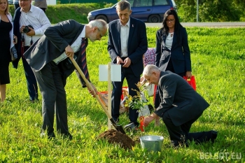 Urz�d Miejski w Wolsztynie