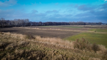 Urz�d Miejski w Wolsztynie