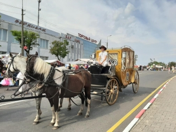 Urz�d Miejski w Wolsztynie