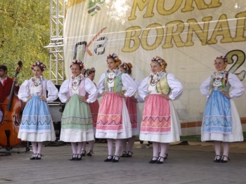 Urz�d Miejski w Wolsztynie