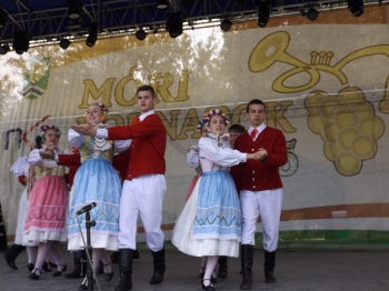 Urz�d Miejski w Wolsztynie