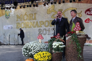 Urz�d Miejski w Wolsztynie