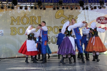 Urz�d Miejski w Wolsztynie