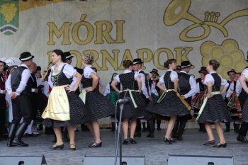 Urz�d Miejski w Wolsztynie