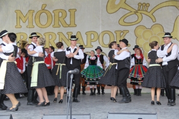 Urz�d Miejski w Wolsztynie