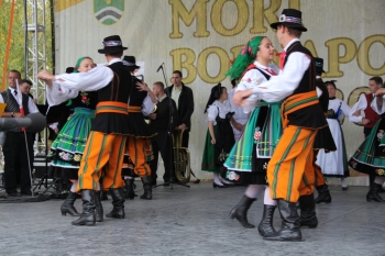 Urz�d Miejski w Wolsztynie