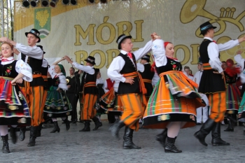 Urz�d Miejski w Wolsztynie