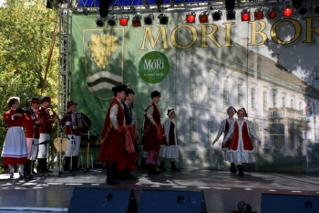 Urz�d Miejski w Wolsztynie