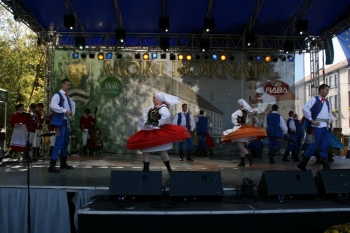 Urz�d Miejski w Wolsztynie