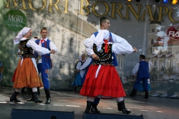 Urz�d Miejski w Wolsztynie