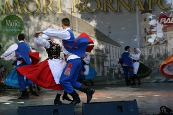 Urz�d Miejski w Wolsztynie