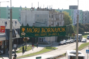 Urz�d Miejski w Wolsztynie