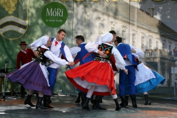 Urz�d Miejski w Wolsztynie