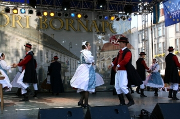 Urz�d Miejski w Wolsztynie